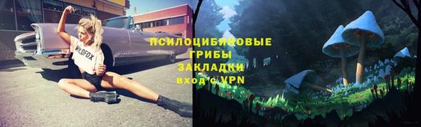 твердый Дмитровск
