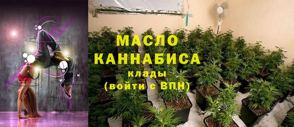 твердый Дмитровск