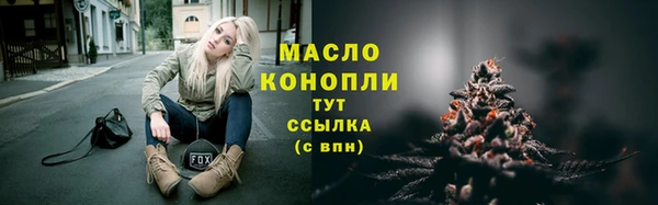 твердый Дмитровск