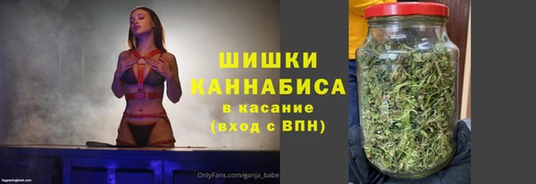 твердый Дмитровск