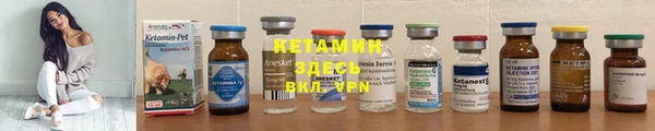 твердый Дмитровск