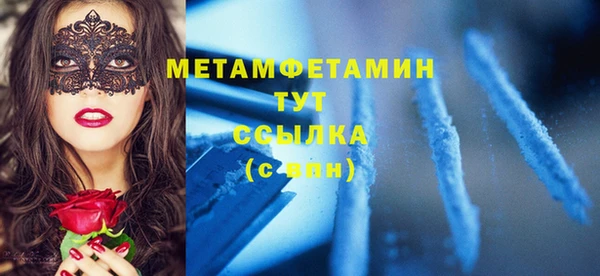 твердый Дмитровск