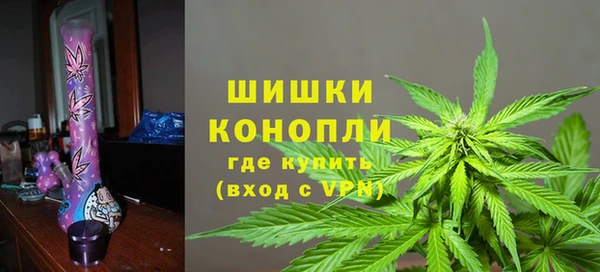 твердый Дмитровск